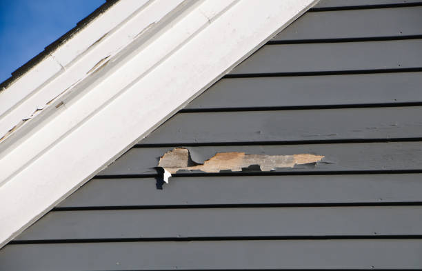 Affordable siding repair and maintenance services in Lakewood Clu, MI